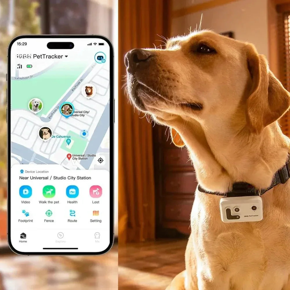 Collier GPS Caméra V360™ – Suivi en Temps Réel & Vidéo Immersive | RONDOR - Rondor