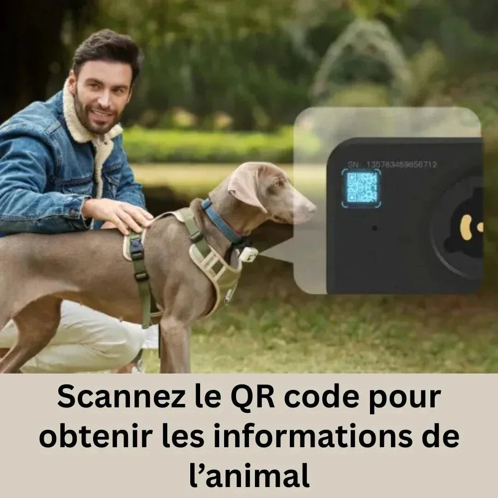 Collier GPS Caméra V360™ – Suivi en Temps Réel & Vidéo Immersive | RONDOR - Rondor