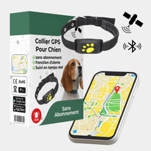 Collier GPS Pour Chien | Adapté à Tous les Chiens | RONDOR - Rondor