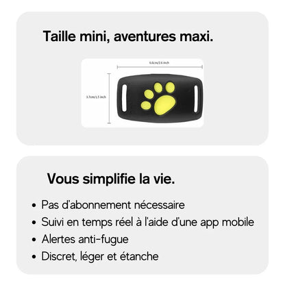 Collier GPS Pour Chien | Adapté à Tous les Chiens | RONDOR - Rondor