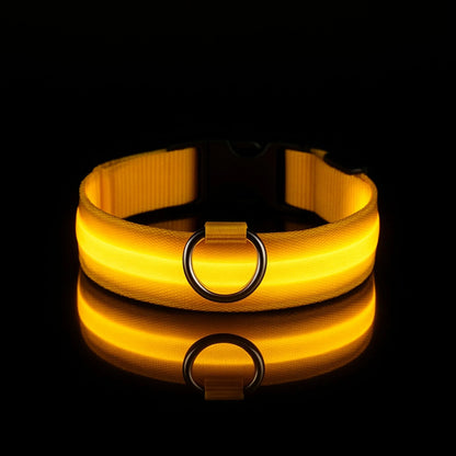 Collier LED pour chien - Visibilité Nocturne