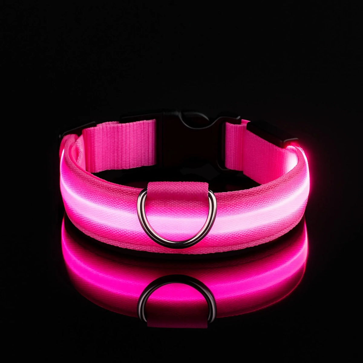 Collier LED pour chien - Visibilité Nocturne