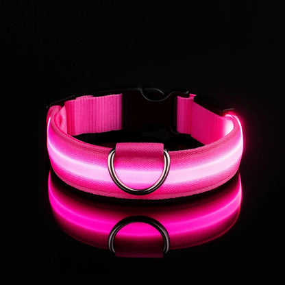 Collier LED pour chien - Visibilité Nocturne