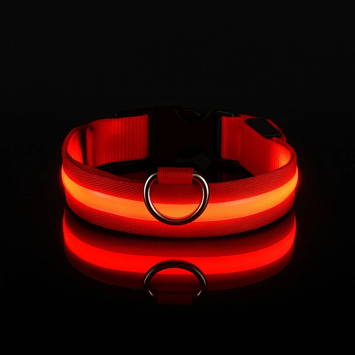 Collier LED pour chien - Visibilité Nocturne