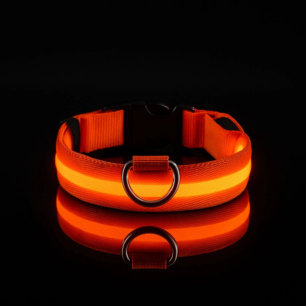 Collier LED pour chien - Visibilité Nocturne