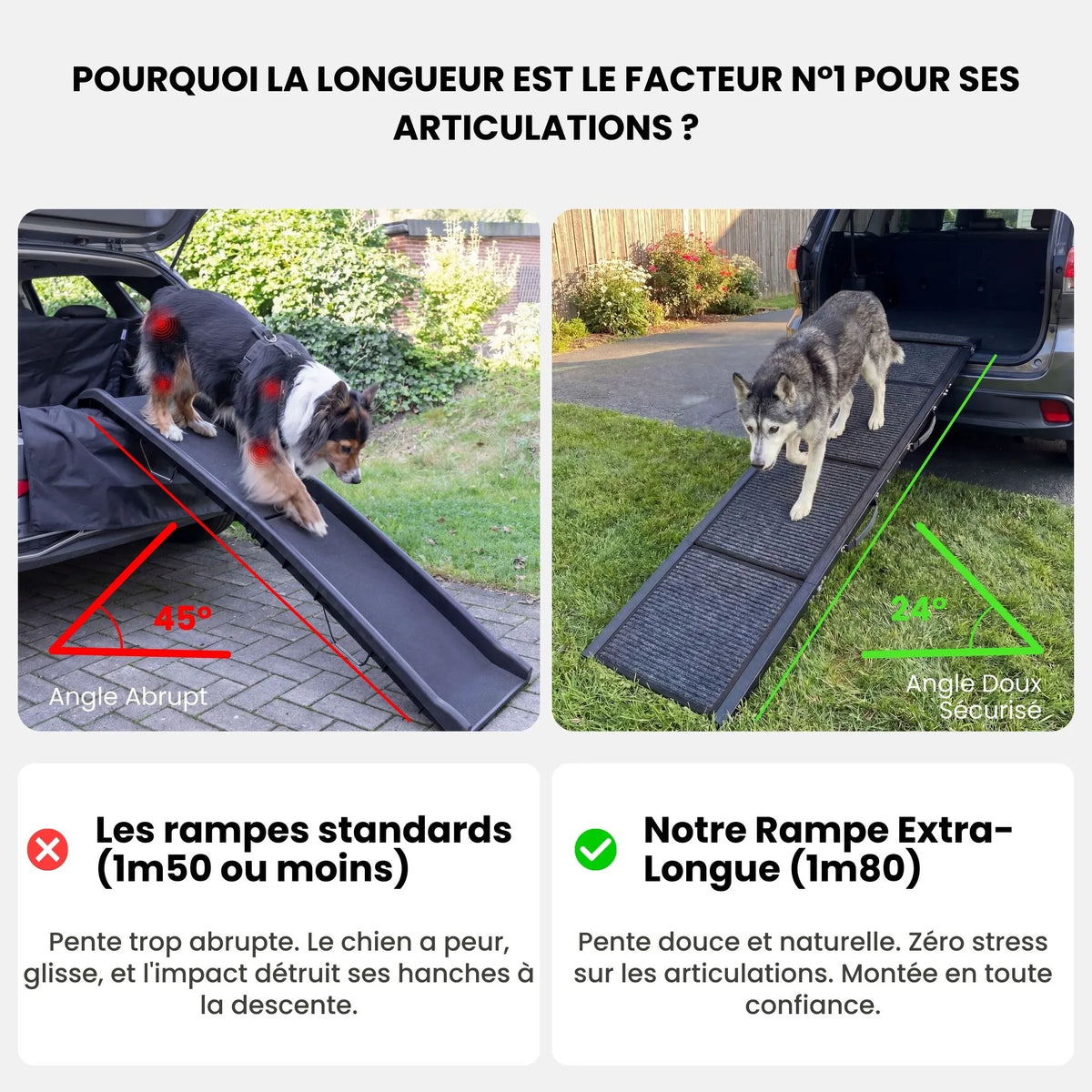 Rampe d'Accès Chien Voiture Premium en Aluminium - Pliable & Supporte 115kg (Anti-Arthrose)