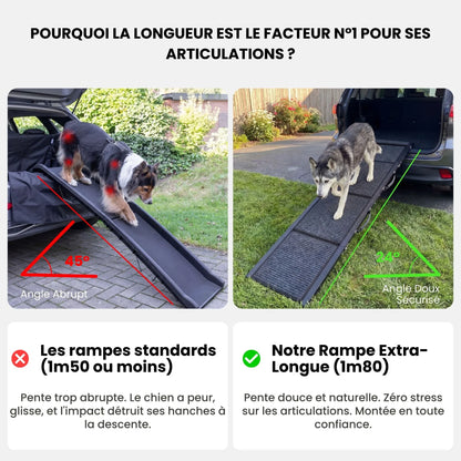 Rampe d'Accès Chien Voiture Premium en Aluminium - Pliable & Supporte 115kg (Anti-Arthrose)