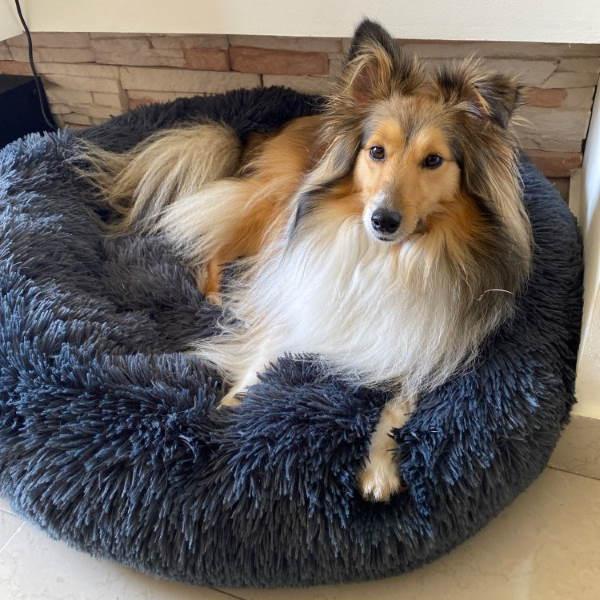 Coussin Apaisant pour Chien - Panier Lit Déhoussable - Rondor