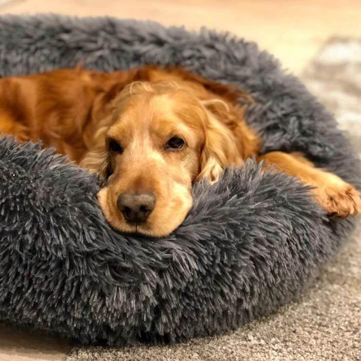 Coussin Apaisant pour Chien - Panier Lit Déhoussable - Rondor