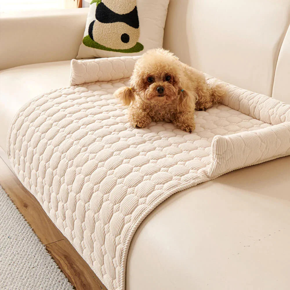 Coussins pour chiens - Protection canapé - Rondor