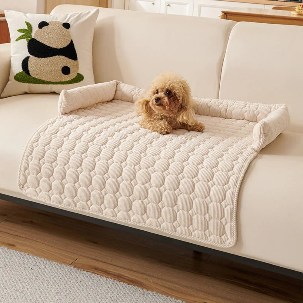 Coussins pour chiens - Protection canapé - Rondor