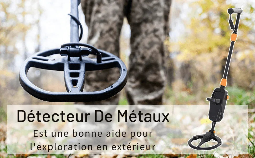 Détecteur de Métaux Électrique Professionnel à Bras Long - Haute Sensibilité Écran LCD - Rondor