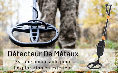 Détecteur de Métaux Électrique Professionnel à Bras Long - Haute Sensibilité Écran LCD - Rondor