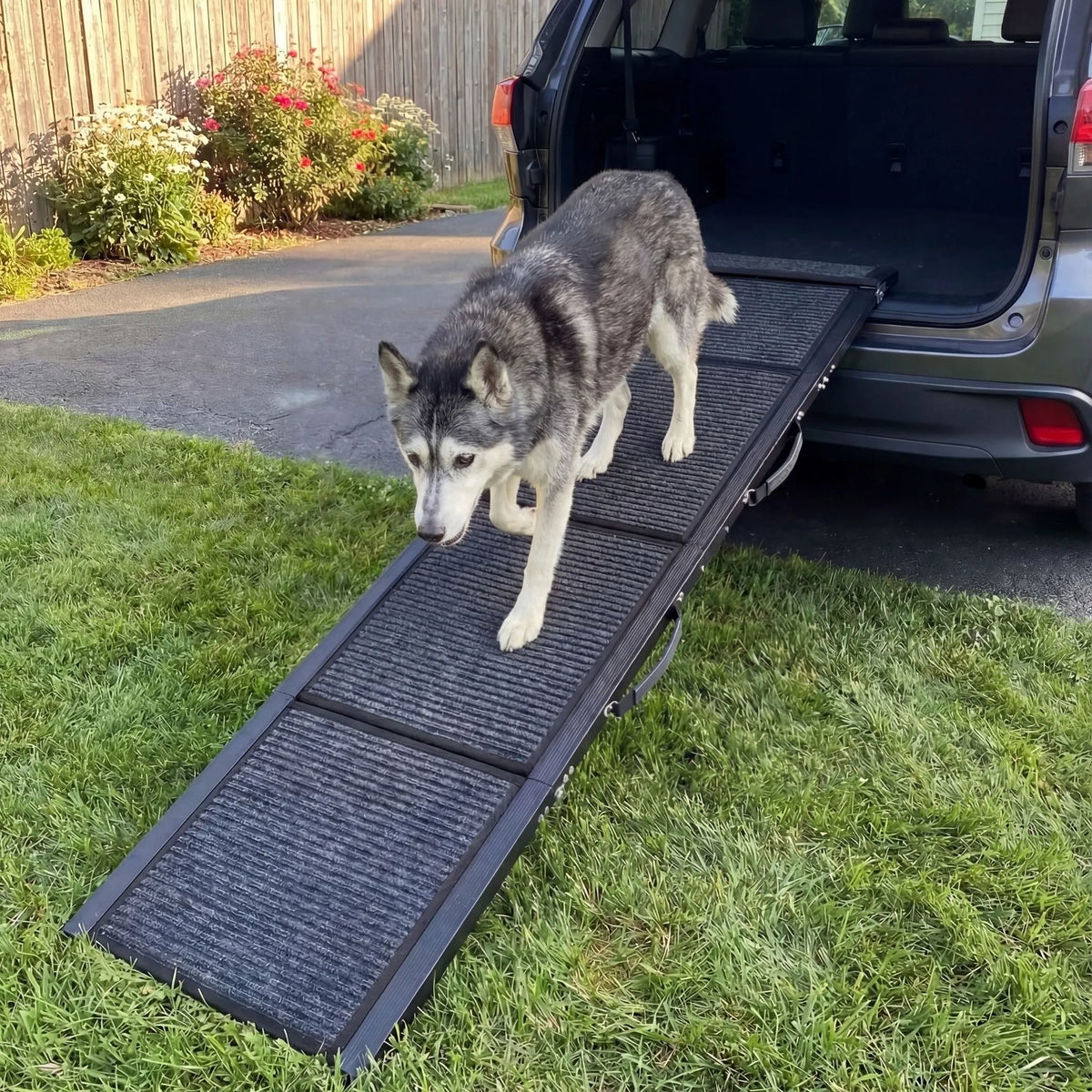 Rampe d'Accès Chien Voiture Premium en Aluminium - Pliable & Supporte 115kg (Anti-Arthrose)
