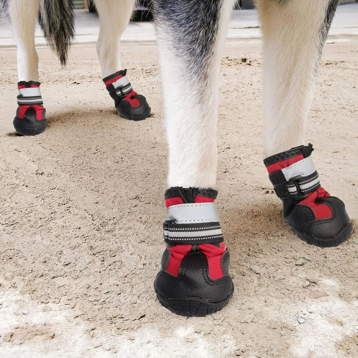 FlexPaw™ Chaussures de Protection Antidérapantes pour Chien - Rondor