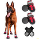 FlexPaw™ Chaussures de Protection Antidérapantes pour Chien