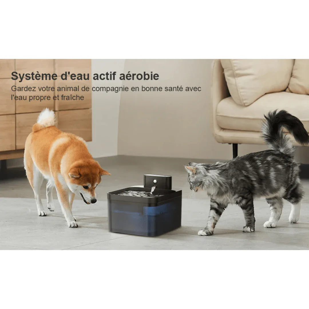 Fontaine à Eau Automatique Sans Fil pour Chat - Rondor