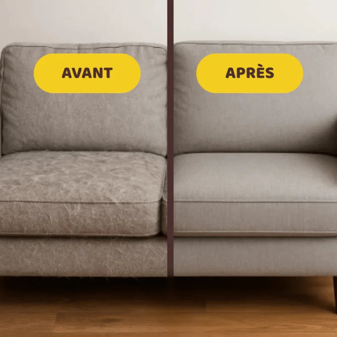 Gantitouf - Gant Anti - Poils Réutilisable & Écologique | RONDOR - Rondor
