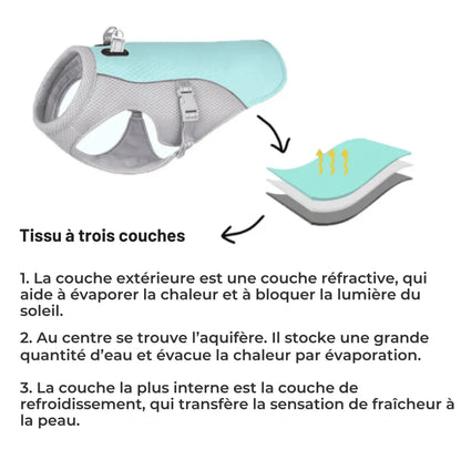 Gilet rafraîchissant pour chien - Rondor