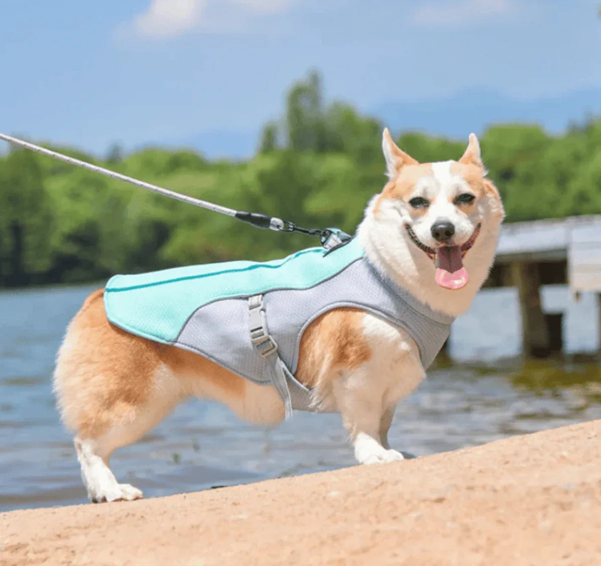 Gilet rafraîchissant pour chien - Rondor