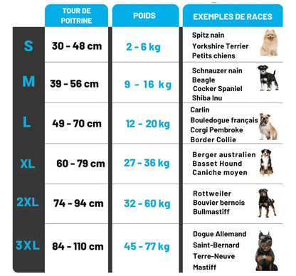 Gilet rafraîchissant pour chien - Rondor