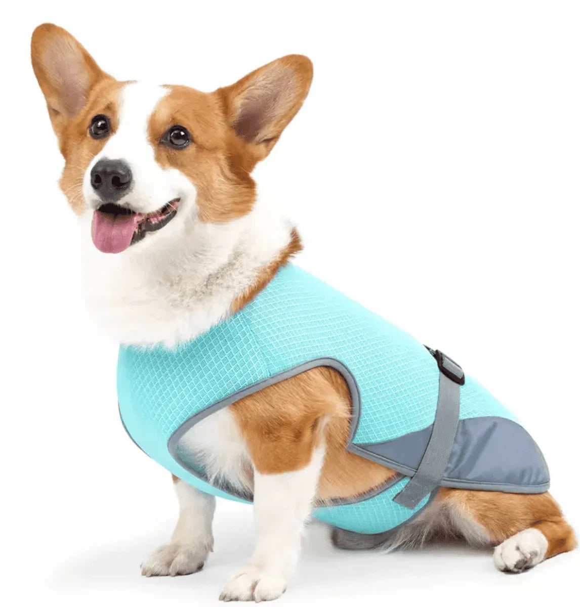 Gilet rafraîchissant pour chien - Rondor