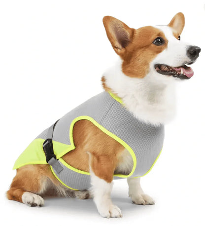Gilet rafraîchissant pour chien - Rondor