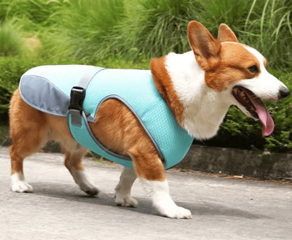Gilet rafraîchissant pour chien - Rondor