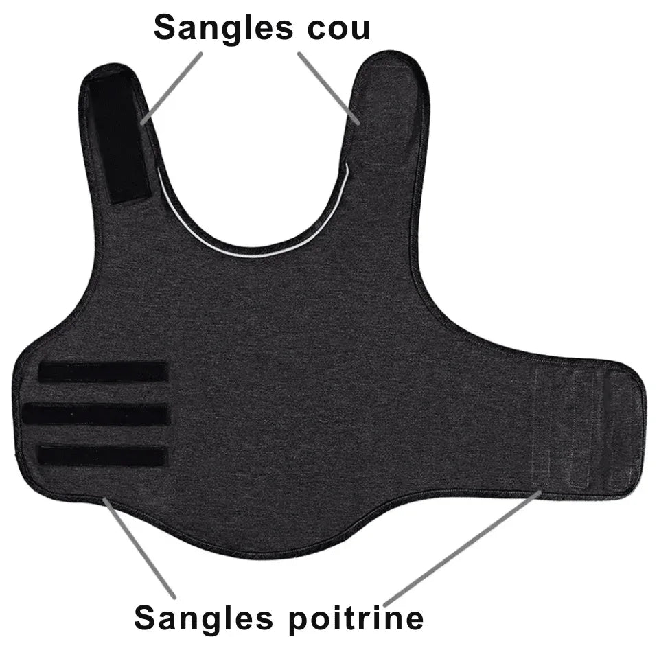 Gilet Relaxant pour chien - Rondor