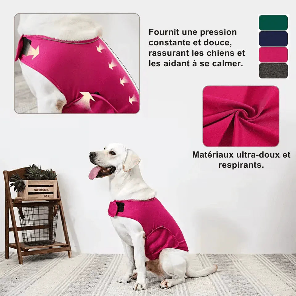 Gilet Relaxant pour chien - Rondor