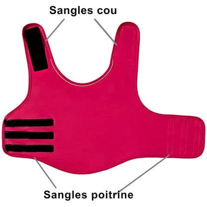 Gilet Relaxant pour chien - Rondor