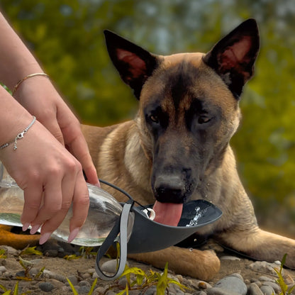 Gourde pour Chien Anti-Fuite 580ml - Bol Intégré & Sans BPA