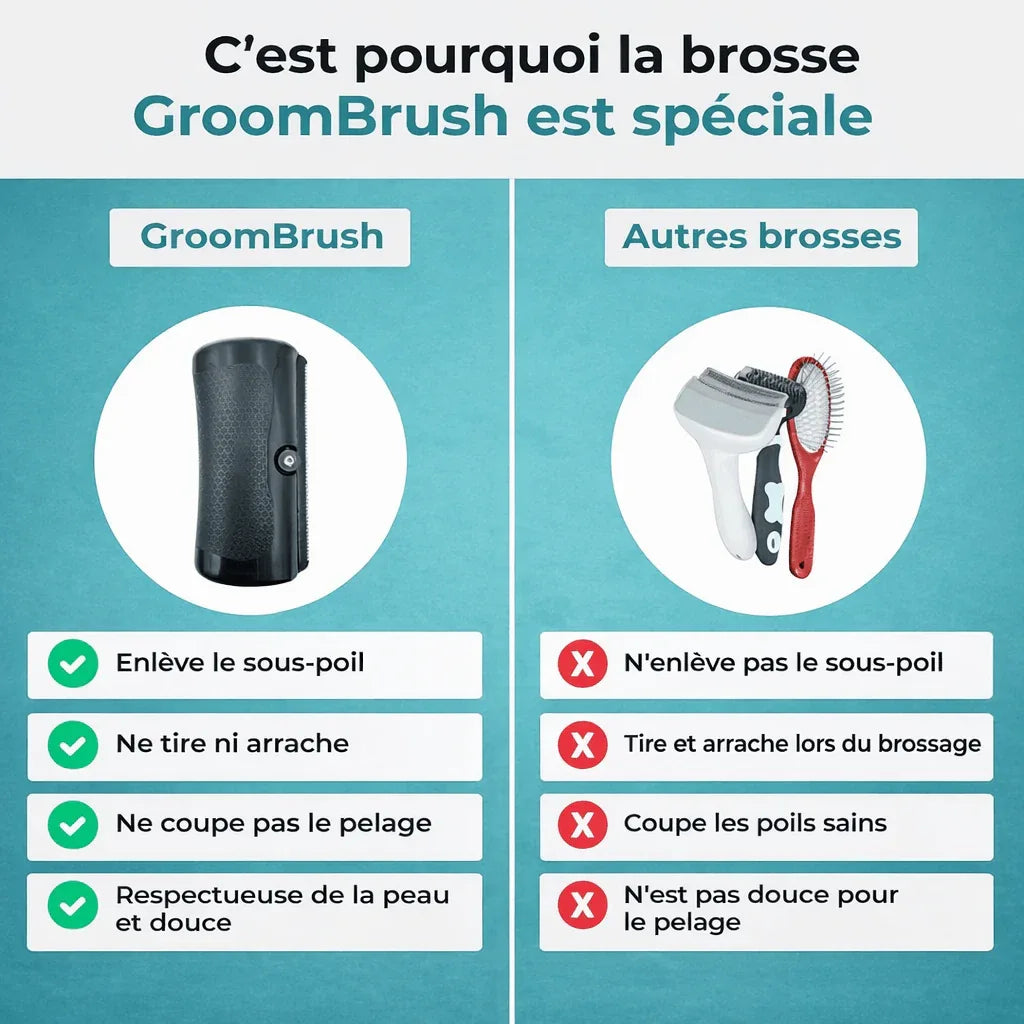 GroomBrush - Brosse de toilettage - Rondor