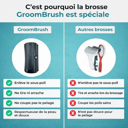 GroomBrush - Brosse de toilettage - Rondor