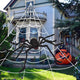 Araignée géante Halloween avec toile - une décoration qui fait frissonner