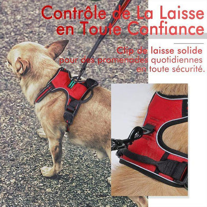 Harnais anti - évasion chien + laisse et distributeur – réglable et réfléchissant - Rondor