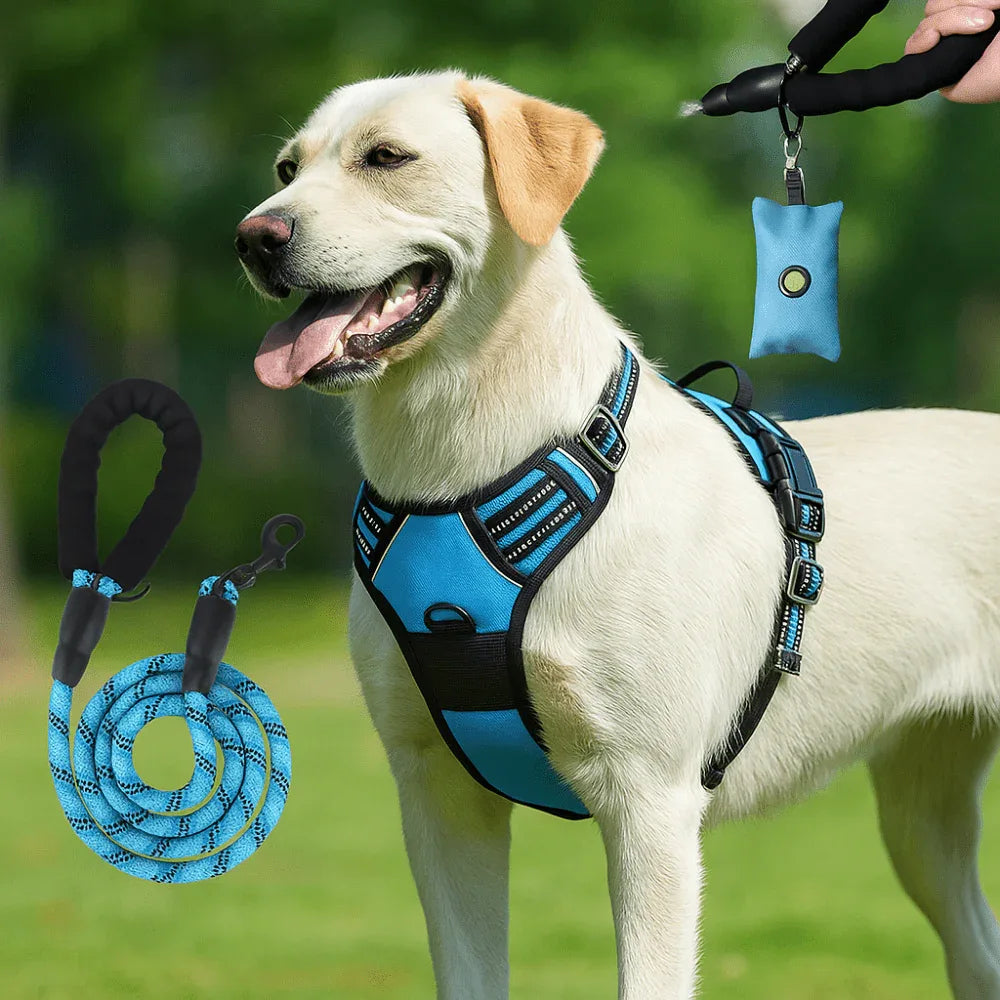 Harnais anti - évasion chien + laisse et distributeur – réglable et réfléchissant - Rondor
