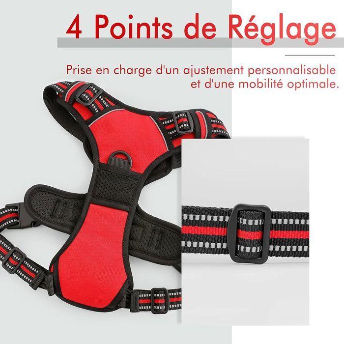 Harnais anti - évasion chien + laisse et distributeur – réglable et réfléchissant - Rondor