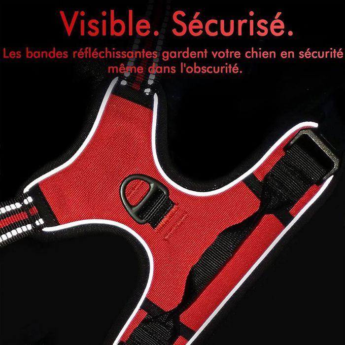 Harnais anti - évasion chien + laisse et distributeur – réglable et réfléchissant - Rondor