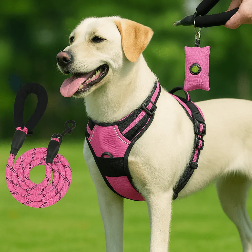 Harnais anti - évasion chien + laisse et distributeur – réglable et réfléchissant - Rondor