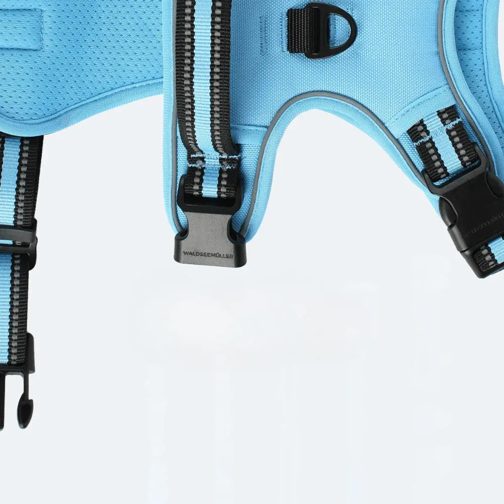 Harnais chien anti - fuite réglable + laisse 1,5 m réfléchissante - Rondor