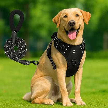 Harnais chien anti - fuite réglable + laisse 1,5 m réfléchissante - Rondor