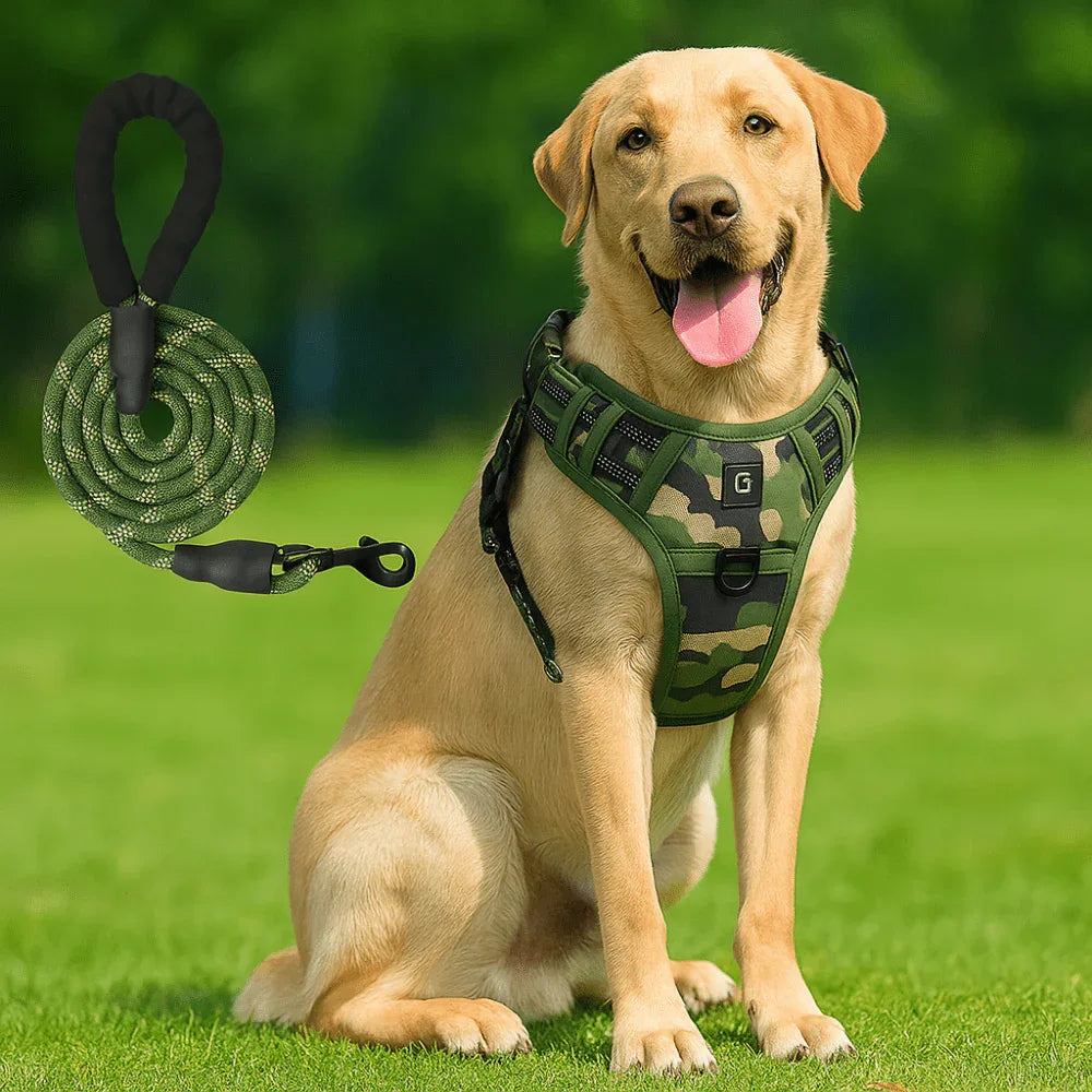 Harnais chien anti - fuite réglable + laisse 1,5 m réfléchissante - Rondor