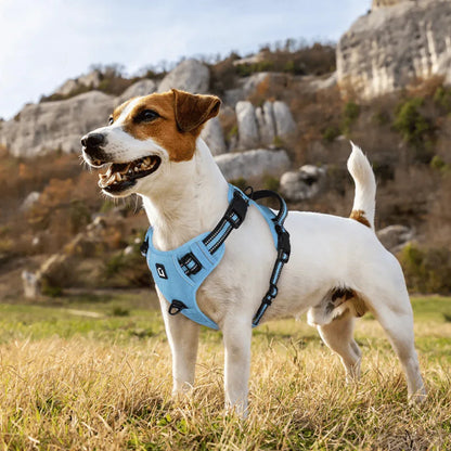 Harnais chien anti - fuite réglable + laisse 1,5 m réfléchissante - Rondor