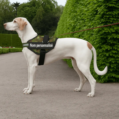 Harnais chien nom personnalisé – réglable et anti - étranglement - Rondor