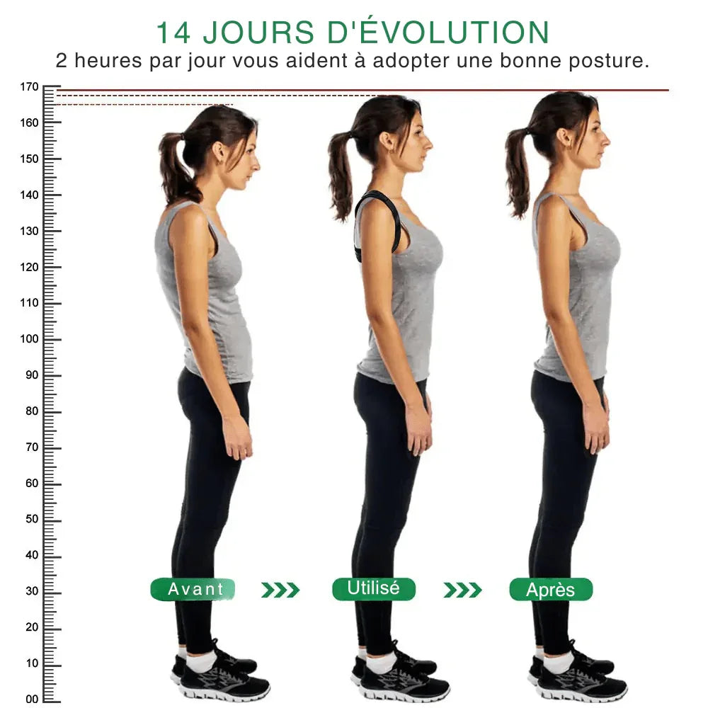 HealtyBack™ I Correcteur posture réglable - Rondor