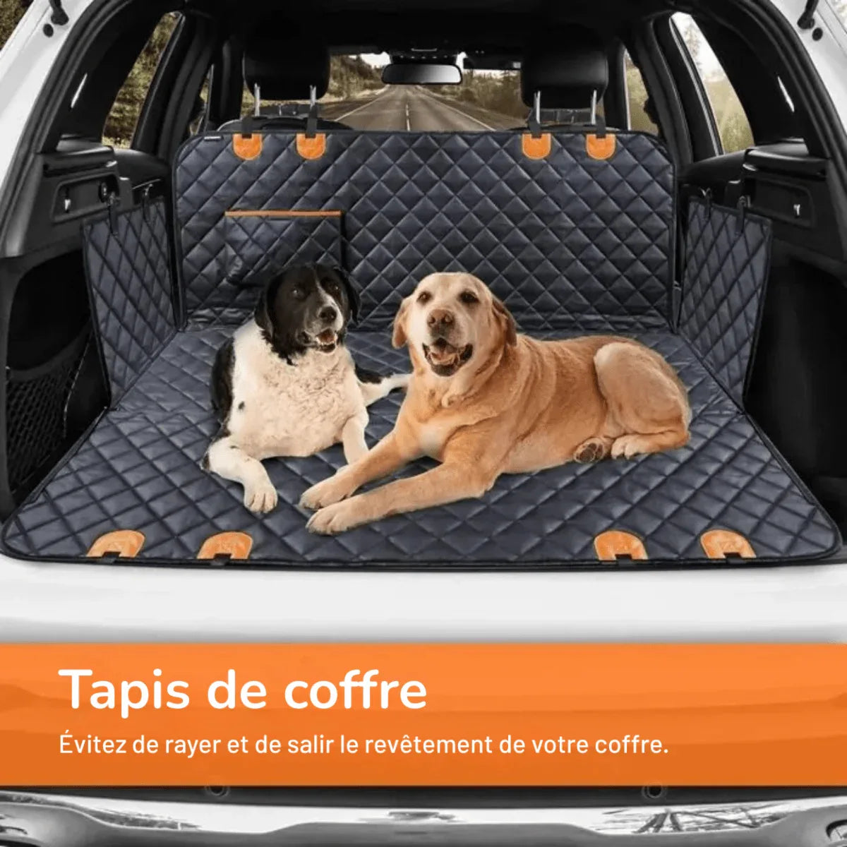 Housse de Protection de Siège Arrière de Voiture Impénétrable - Rondor