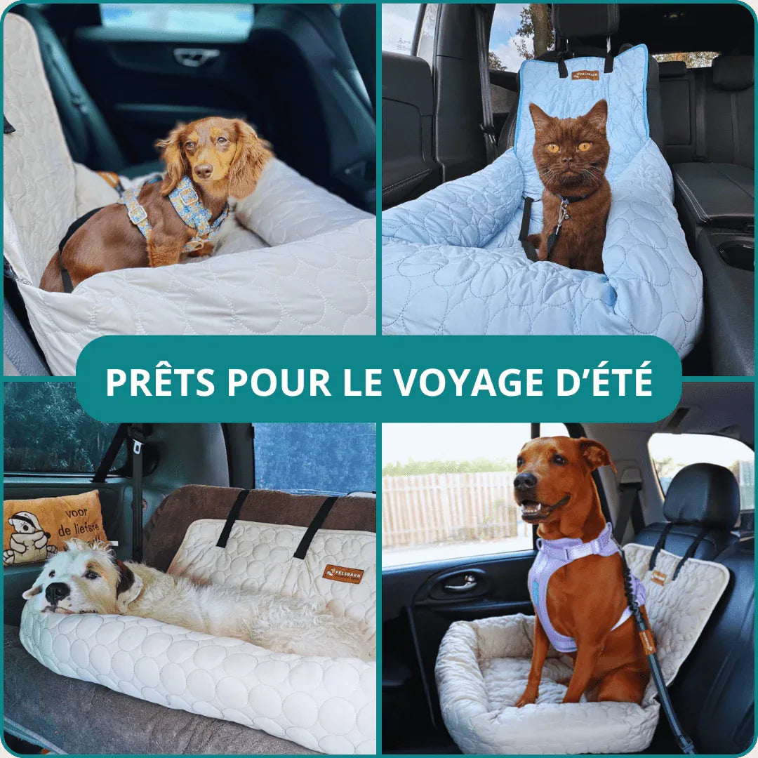 Housse de protection pour siège d`auto - Rondor