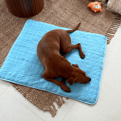 Matelas Rafraîchissant Innovant pour Chiens (4x Puissance de Refroidissement) - ChillComfort