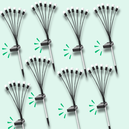 Lampes LED Lucioles à Énergie Solaire - Offre Spéciale